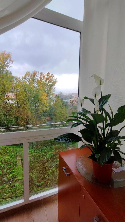 Il Roseto Bed and Breakfast Frosinone Buitenkant foto